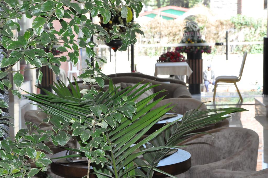 Addissinia Hotel Ngoại thất bức ảnh
